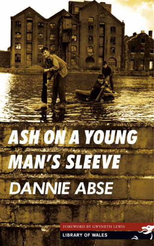 Ash On a Young Man's Sleeve