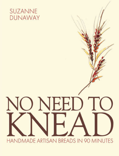 NO NEED TO KNEAD: Handmade Artisan Breads in 90 minutes