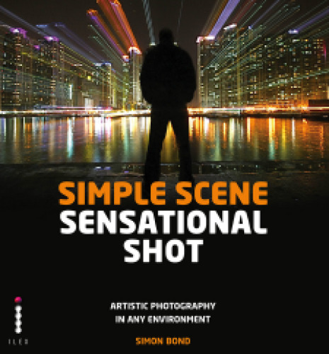 Simple Scene Sensational Shot: Artistic Photography in Any Environment