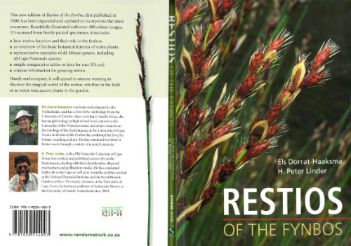 Restios of the Fynbos