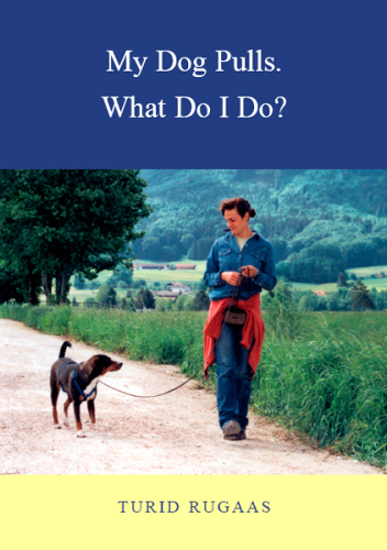 My Dog Pulls: What Do I Do?