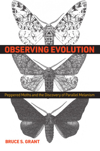 Evolution and Peppered Moths: Cracking the Code with Parallel Melanism
