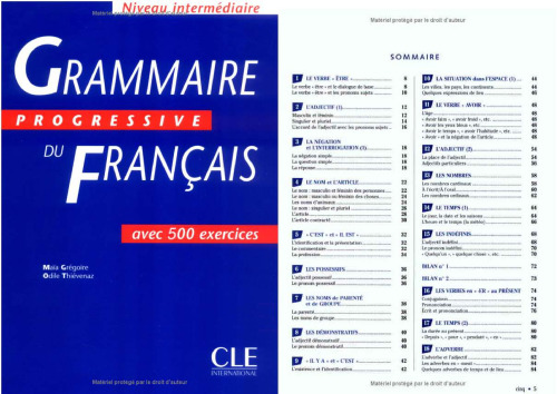 Grammaire Progressive Du Francais avec 500 exercices. French Grammer Book