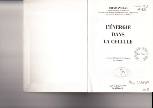 L'énergie dans la cellule