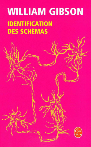 Identification des schémas
