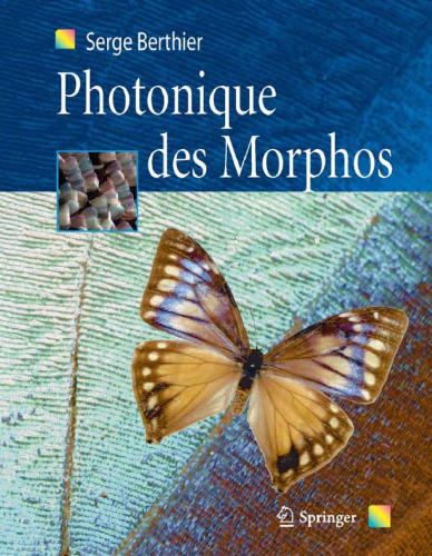 Photonique des Morphos (French Edition)