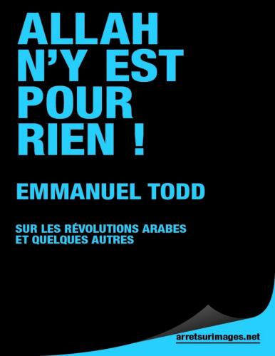 Allah n'y est pour rien ! Sur les révolutions arabes et quelques autres