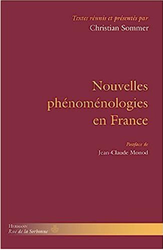 Nouvelles phénoménologies en France (HR.RUE SORBONNE) (French Edition)
