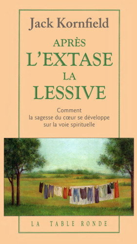 Après l'extase, la lessive