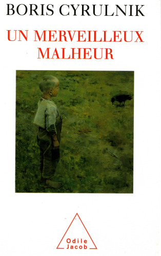 Un merveilleux malheur