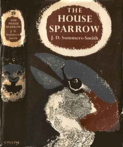 The House Sparrow
