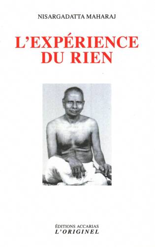 L'Expérience du rien : entretiens sur la réalisation de l’Infini