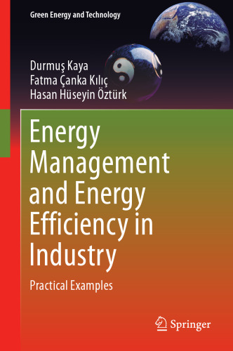 Energy Management and Energy Efficiency in Industry: Practical Examples (Green Energy and Technology)