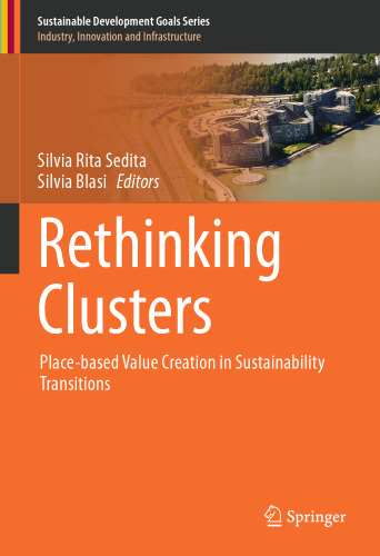 Rethinking Clusters: Place-based Value Creation in Sustainability Transitions (Sustainable Development Goals Series)