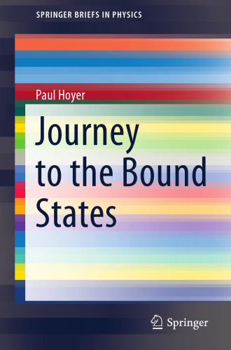 Journey to the Bound States (SpringerBriefs in Physics)