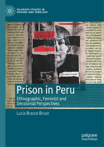 Prison in Peru: Ethnographic, Feminist and Decolonial Perspectives (Palgrave Studies in Prisons and Penology)