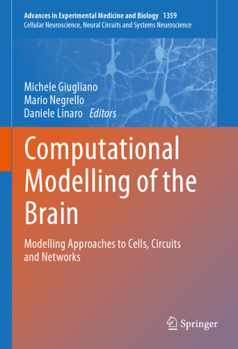 Computational Modelling of the Brain: Modelling Approaches to Cells, Circuits and Networks (Advances in Experimental Medicine and Biology, 1359)