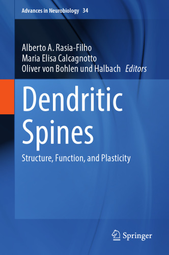 Dendritic Spines: Structure, Function, and Plasticity (Advances in Neurobiology, 34)