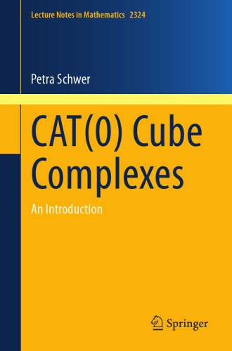 CAT(0) Cube Complexes: An Introduction