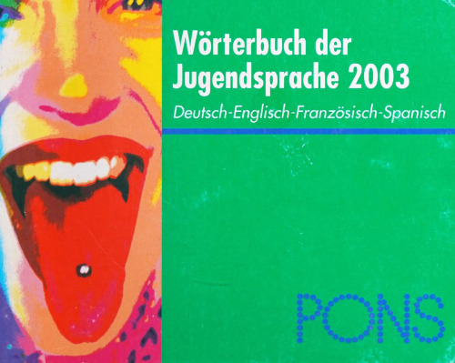 PONS Wörterbuch der Jugendsprache 2003: Deutsch-Englisch-Französisch-Spanisch