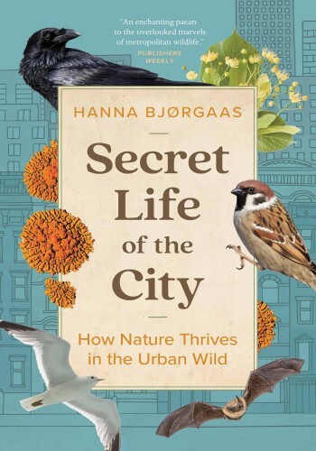 Secret Life of the City