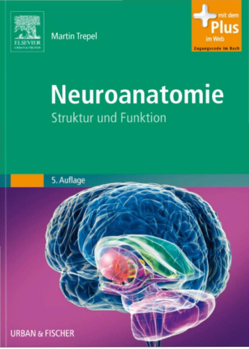 Neuroanatomie: Struktur und Funktion