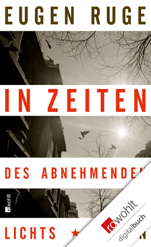 In Zeiten des abnehmenden Lichts: Roman einer Familie