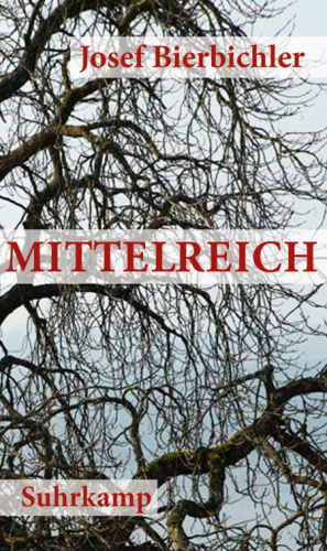 Mittelreich (Roman)