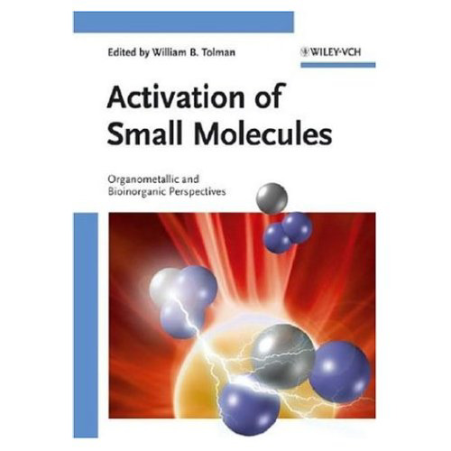 Activation of Small Molecules: Organometallic and Bioinorganic Perspectives