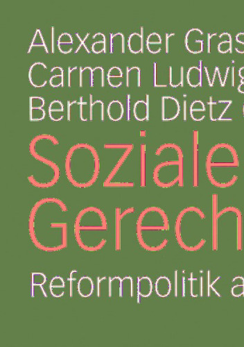 Soziale Gerechtigkeit: Reformpolitik am Scheideweg Festschrift für Dieter Eißel zum 65. Geburtstag (German Edition)