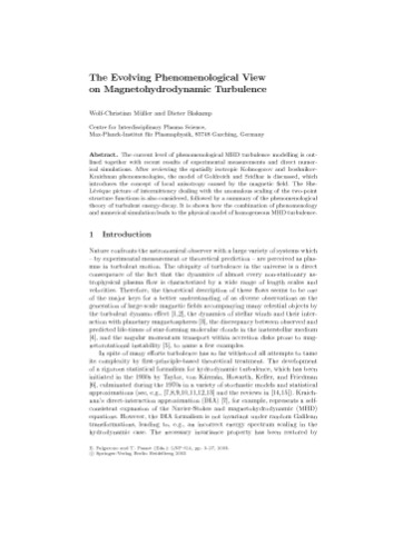 Turbulence and Magnetic Fields in Astrophysics (Lecture Notes in Physics, 614)