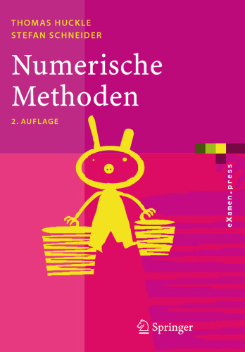 Numerik für Informatiker (Springer-Lehrbuch) (German Edition)
