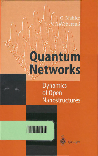 Quantum networks : dynamics of open nanostructures