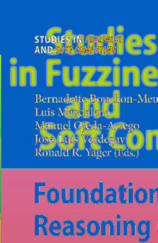 Foundations of Reasoning under Uncertainty (Studies in Fuzziness and Soft Computing, 249)