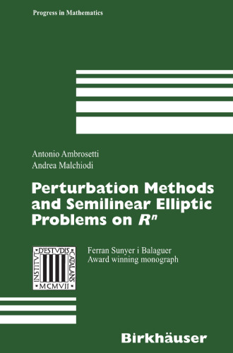 Perturbation Methods and Semilinear Elliptic Problems on R^n