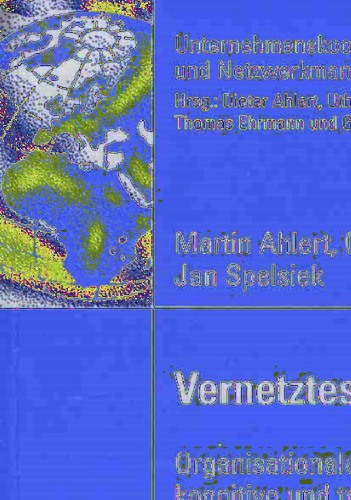 Integriertes Zufriedenheitsmanagement in Franchisingnetzwerken: Theoretische Fundierung und empirische Analyse (Unternehmenskooperation und Netzwerkmanagement) (German Edition)