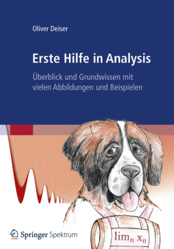 Erste Hilfe in Analysis: Überblick und Grundwissen mit vielen Abbildungen und Beispielen