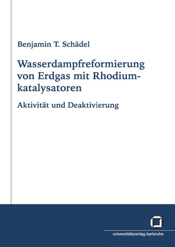 Wasserdampfreformierung von Erdgas mit Rhodiumkatalysatoren