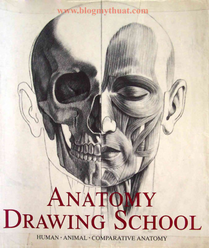 Anatomy Drawing School