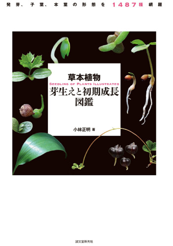 草本植物 芽生えと初期成長図鑑: 発芽、子葉、本葉の形態を1487種網羅 Seedling of Plants Illustrated