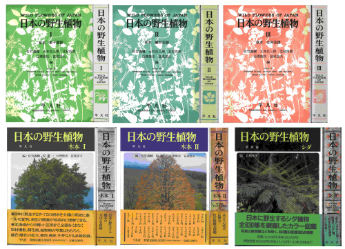 日本の野生植物 草本 I-III＋木本 I-II＋シダ（本文） WILD FLOWERS OF JAPAN