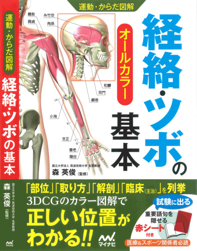 経絡・ツボの基本