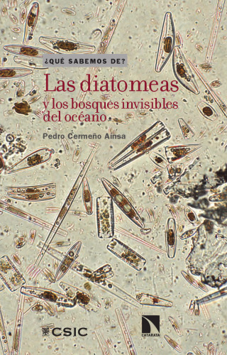 Las diatomeas y los bosques invisibles del océano
