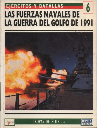 Fuerzas Navales Guerra Golfo
