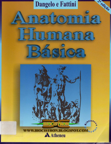 Anatomia humana básica