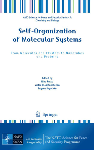 Self-Organization of Molecular Systems: From Molecules and Clusters to Nanotubes and Proteins (NATO Science for Peace and Security Series A: Chemistry and Biology)