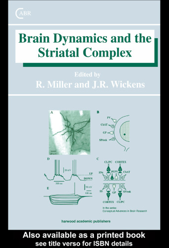 Brain Dynamics and the Striatal Complex
