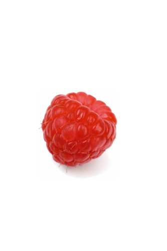 The Agile Rabbit Visual Dictionary of Fruit