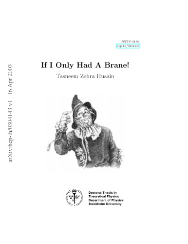If I only had a brane!