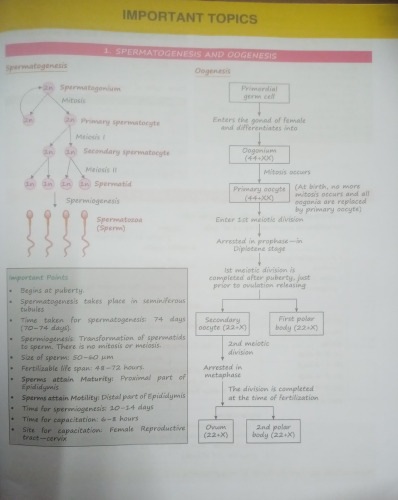 ONE Touch Obstetrics & Gynecology For NEET/NEXT/FMGE/INI-CET